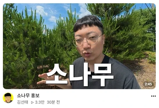 김선태 이제 소나무 홍보까지 하네..._1.webp