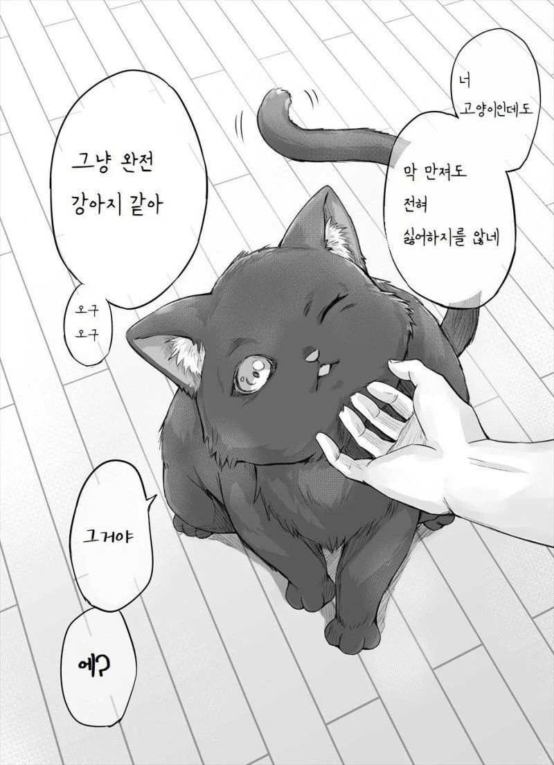 manga_58596226_003.webp