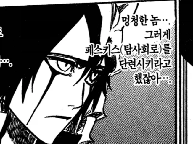 블리치 번역 뭐냐_2.webp
