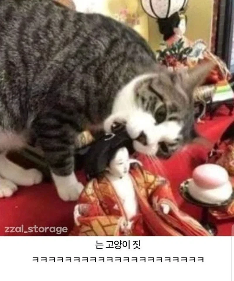공포)기괴한 일본 인형 사건_4.webp
