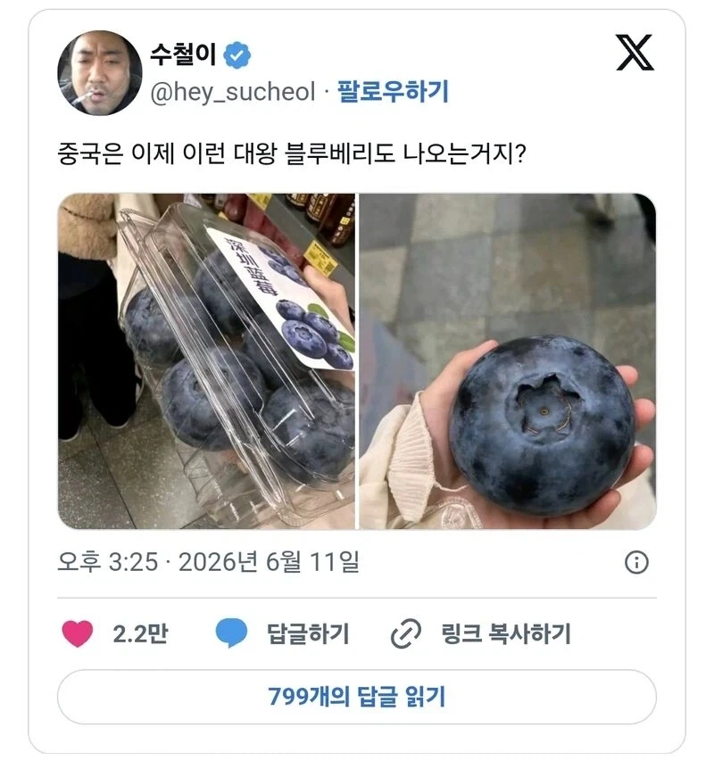 중국에서 판다는 대왕 블루베리_1.webp