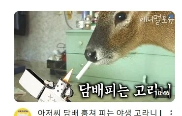 안누를수없는 유툽 썸네일_1.webp