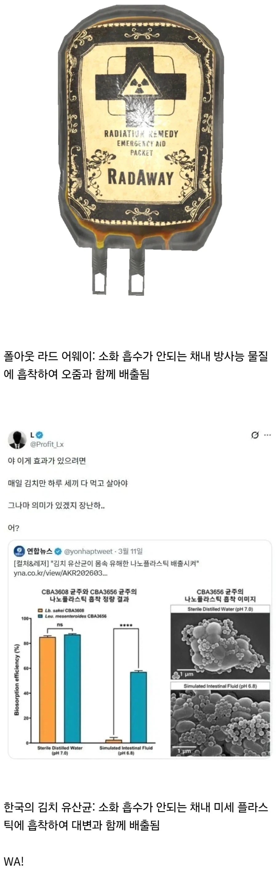 김치 유산균의 미세 플라스틱 배출 원리가 폴아웃 라드어웨이 원리랑 같음_1.webp