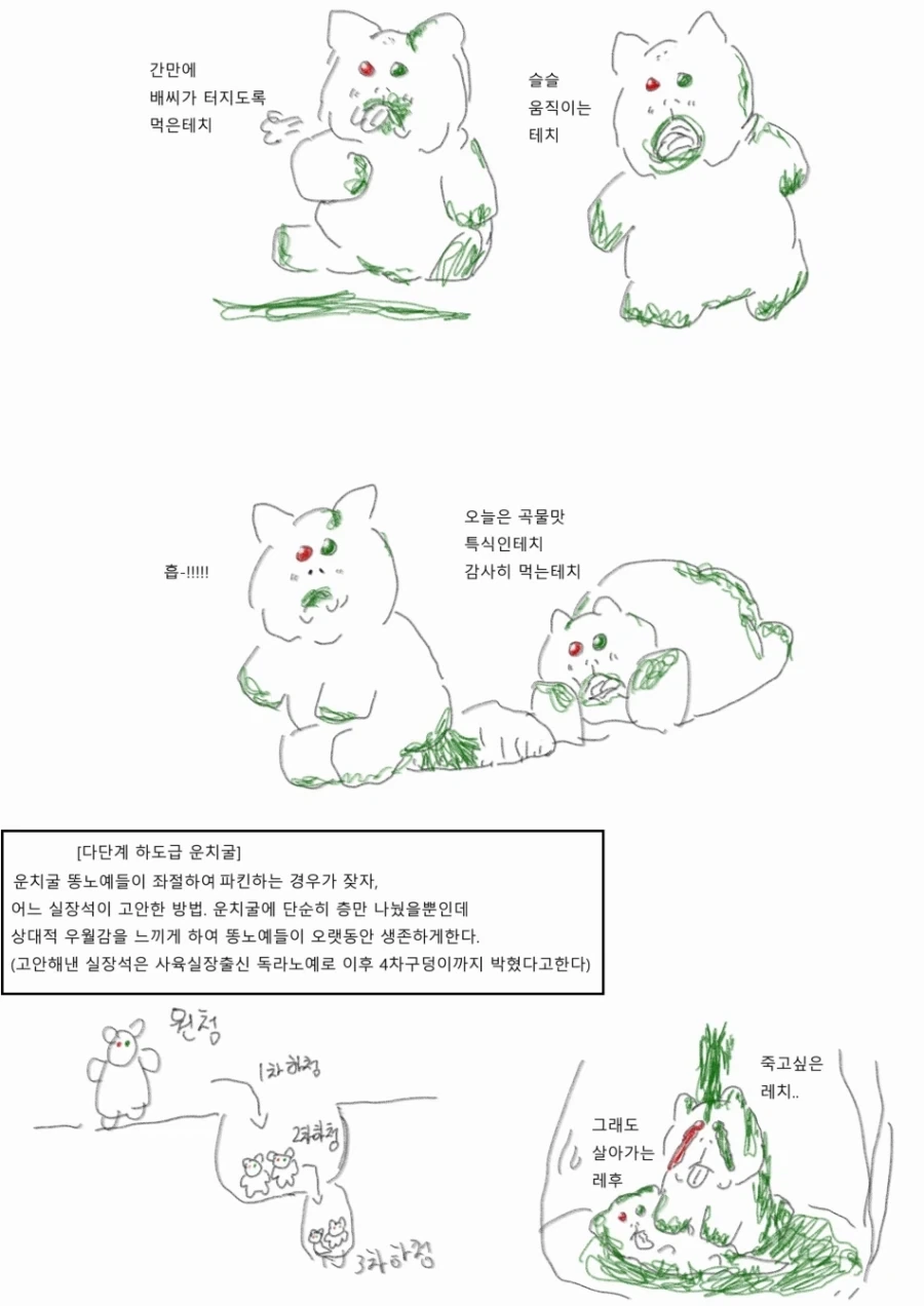 운치굴 이야기_2.webp