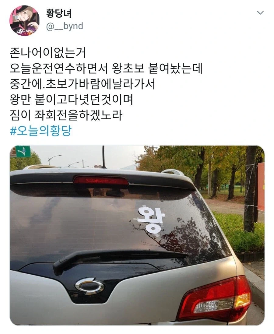 운전 연습하다 순식간에 신분 급상승 함.jpg_1.webp