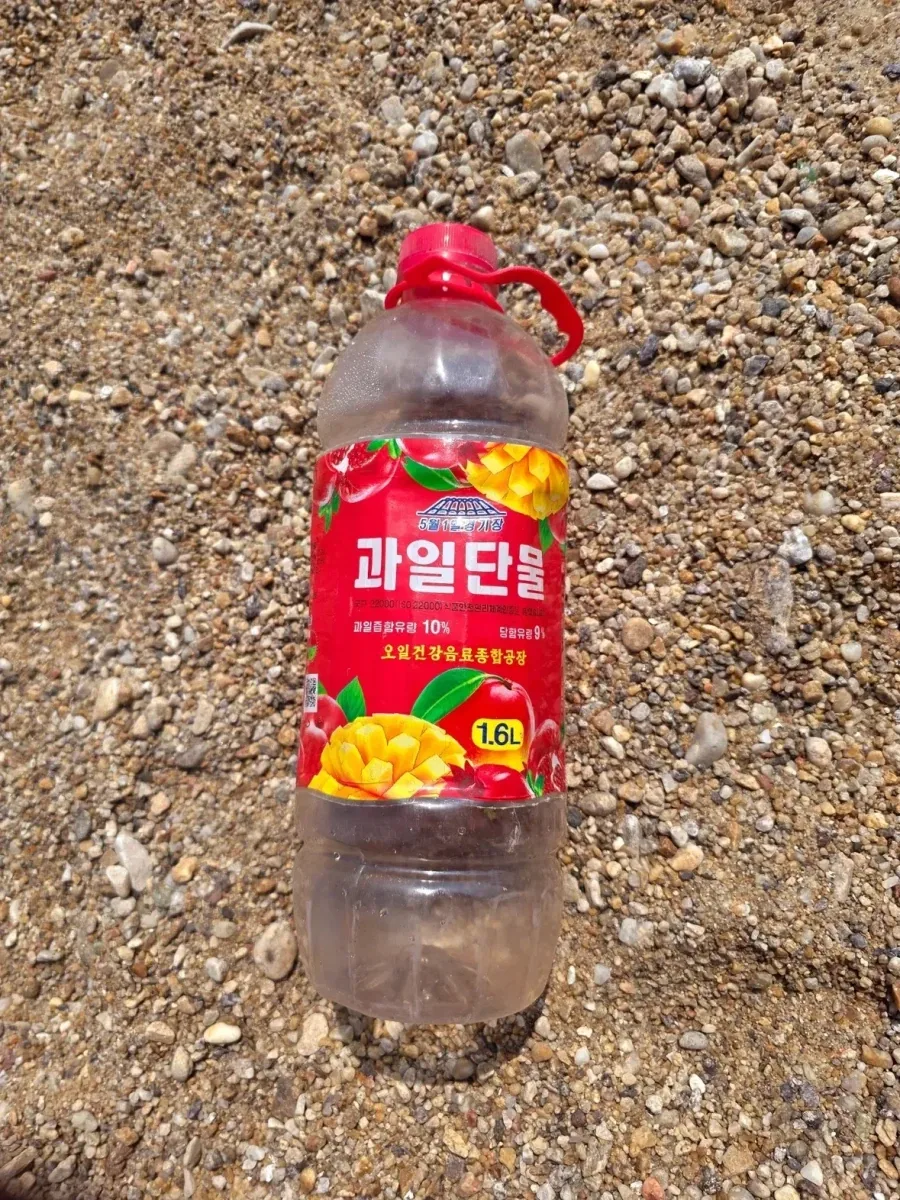 해수욕장에서 본 찜찜한 쓰레기.jpg_2.webp