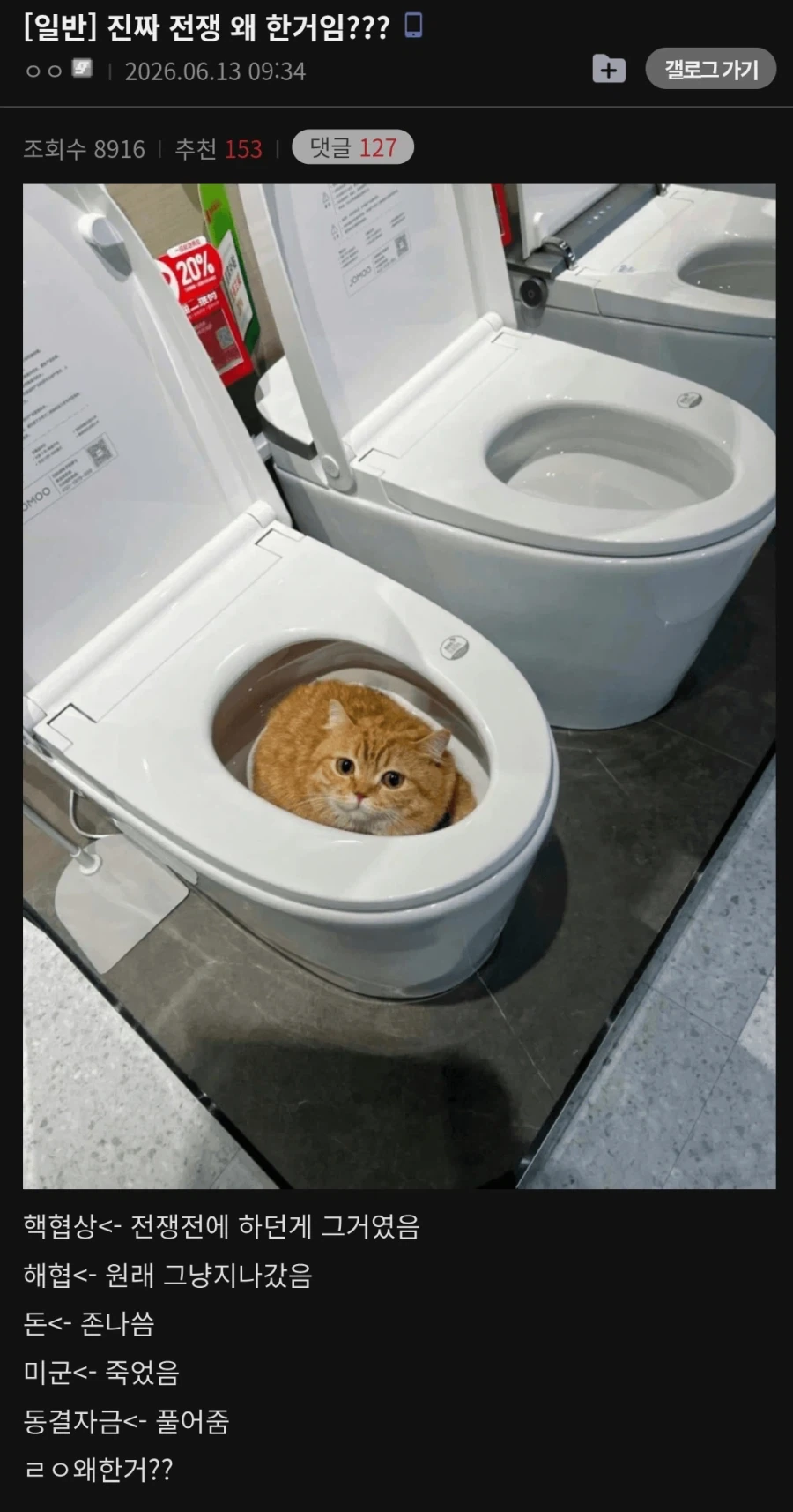 결국 눈을 떠버린 미주갤러_1.webp
