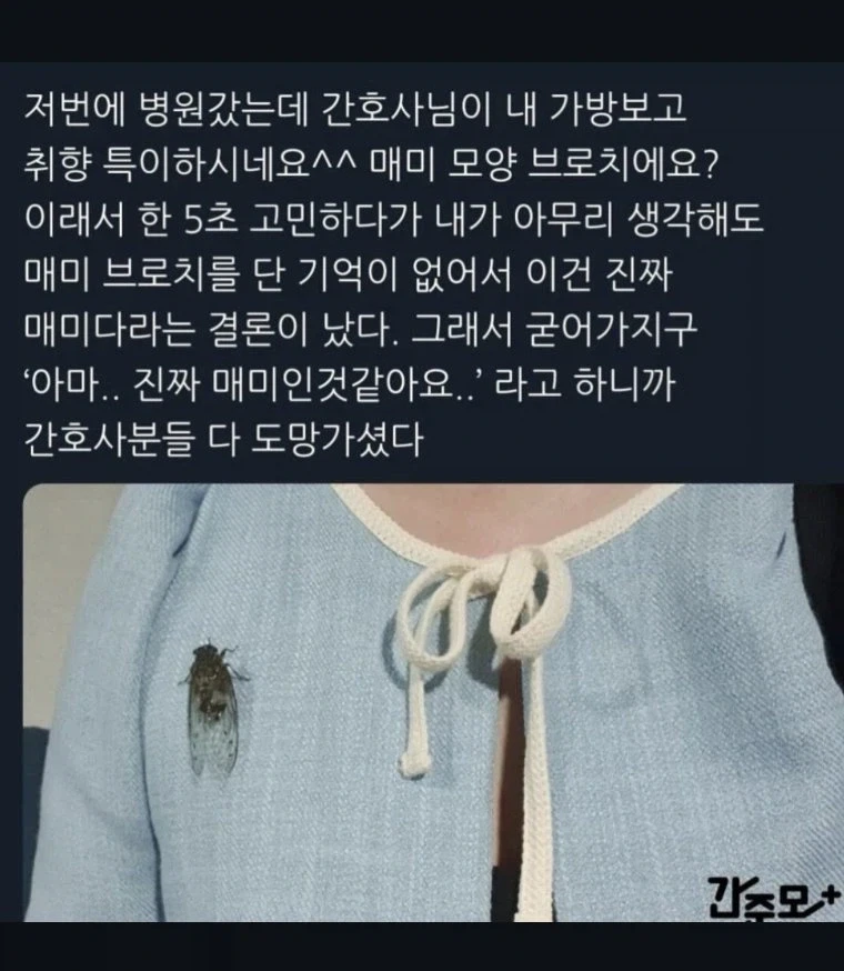 매미 모양 브로치.jpg_1.webp