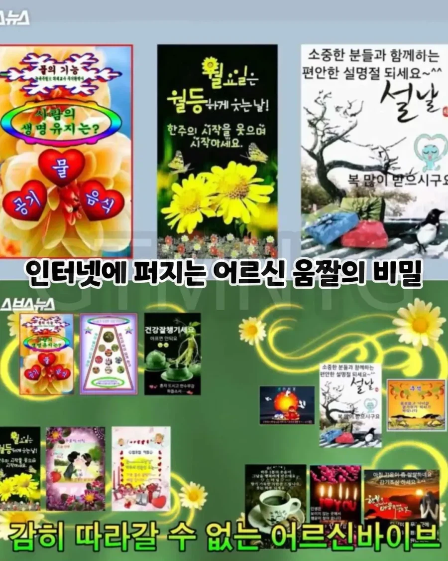 우리가 비웃던 어르신 카톡짤의 충격적인 진실.jpg_1.webp