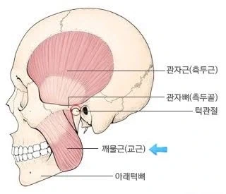 의외로 운동하는 사람들이 큰 부위_2.webp