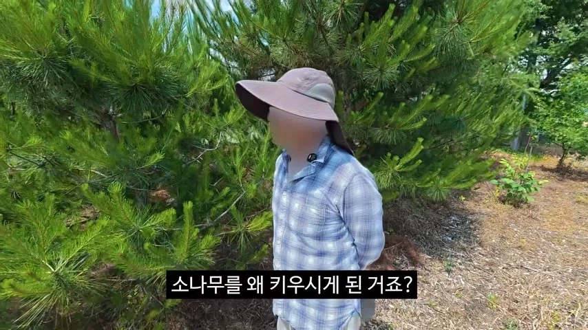 광고주한테 막말하는 김선태_10.webp