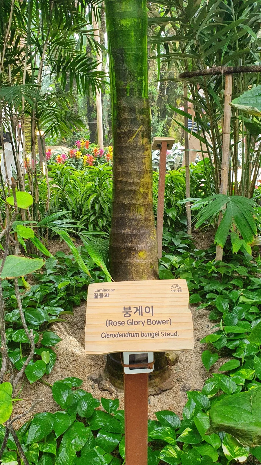 과거의 나는 왜 이런 사진을..._1.webp