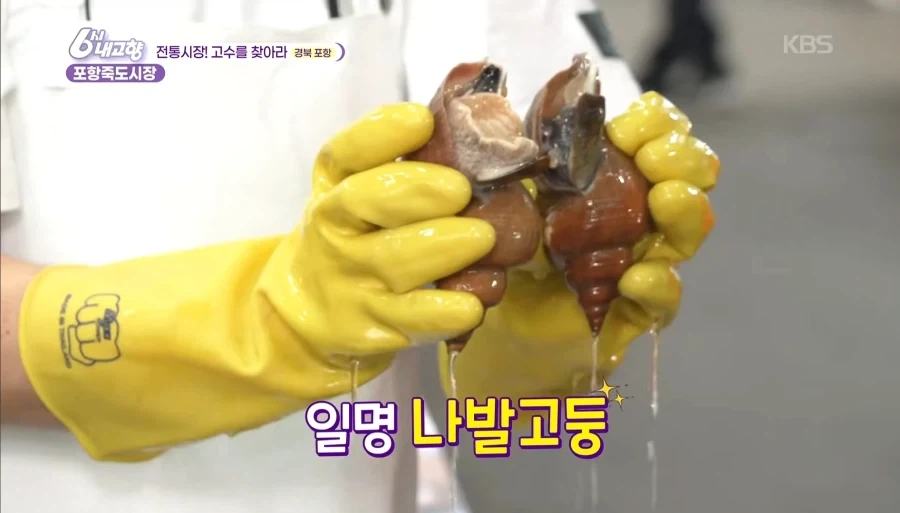 35년 간 변함 없고 진부한 프로그램 감성.jpg_2.webp