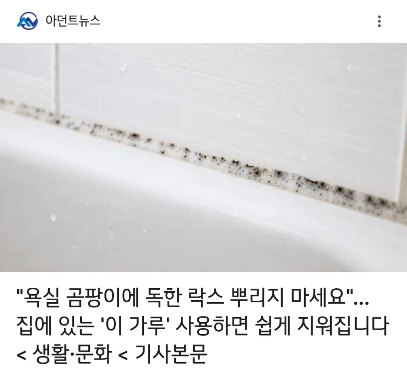 생활의 지혜 특_1.webp