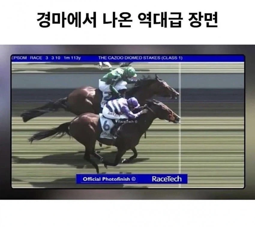 경마에서 나온 역대급 장면.jpg_1.webp