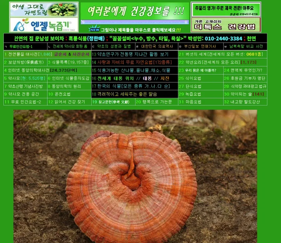 언제 만들어진지 가늠이 안되는 홈페이지_1.webp