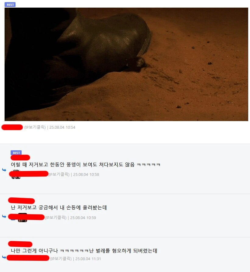 풍뎅이 공포증 환자 대거 양산했던 영화.jpg_2.png
