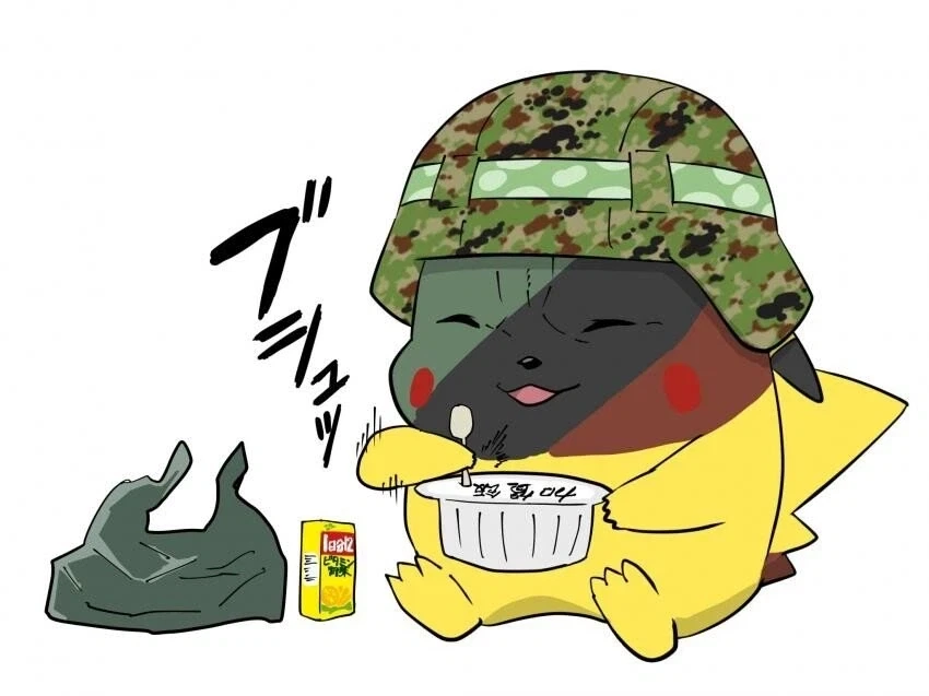 피카츄 고생하는 짤 모음집.jpg_5.webp