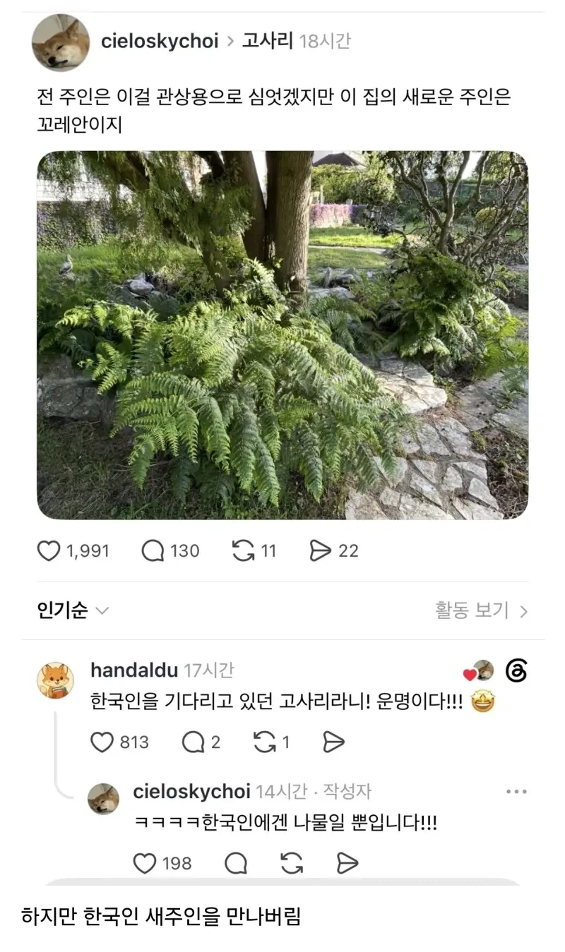 전 주인은 널 관상용으로 키웠겠지_1.webp