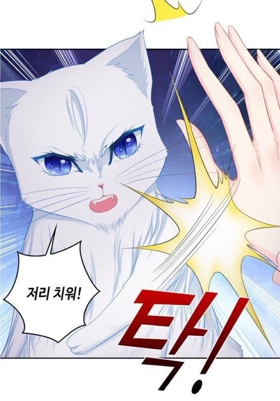 동물이 메인인데 동물을 못 그림_1.webp