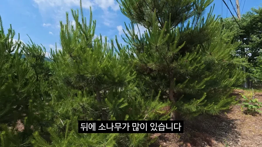 이젠 광고주에게 막말까지 하는 김선태.jpg_3.webp