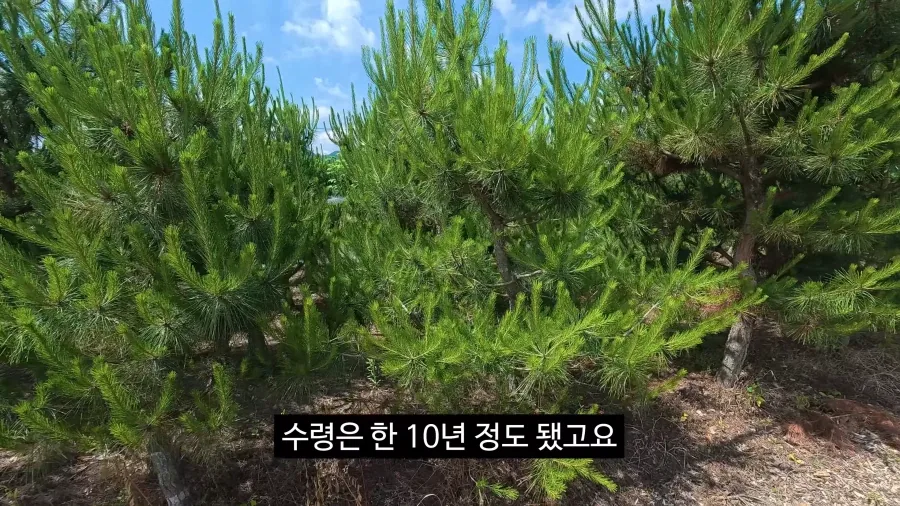 이젠 광고주에게 막말까지 하는 김선태.jpg_8.webp