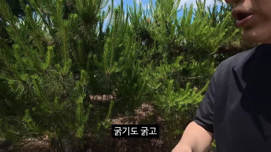 이젠 광고주에게 막말까지 하는 김선태.jpg_10.webp