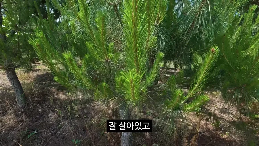 이젠 광고주에게 막말까지 하는 김선태.jpg_11.webp