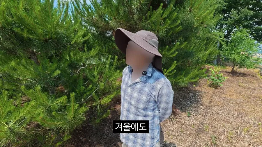이젠 광고주에게 막말까지 하는 김선태.jpg_21.webp