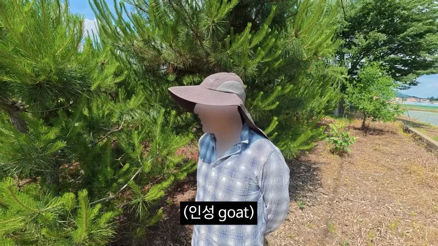 이젠 광고주에게 막말까지 하는 김선태.jpg_35.webp