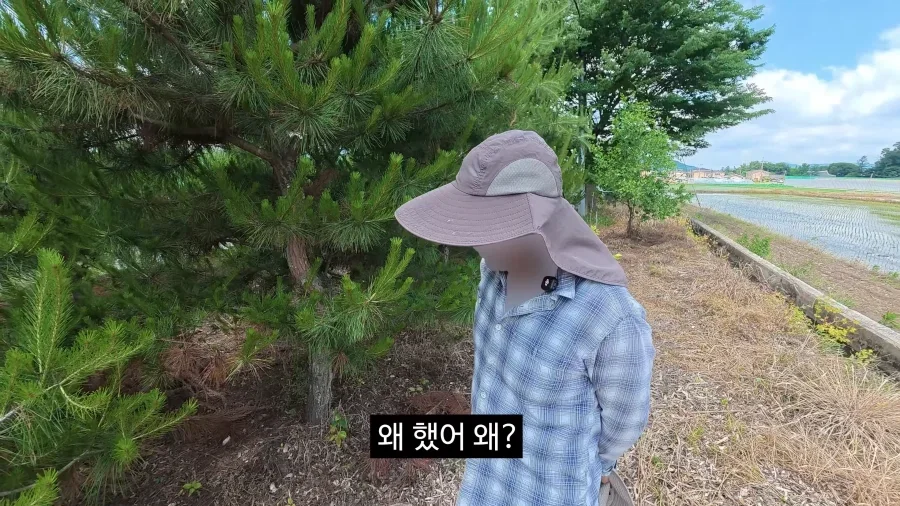 이젠 광고주에게 막말까지 하는 김선태.jpg_54.webp