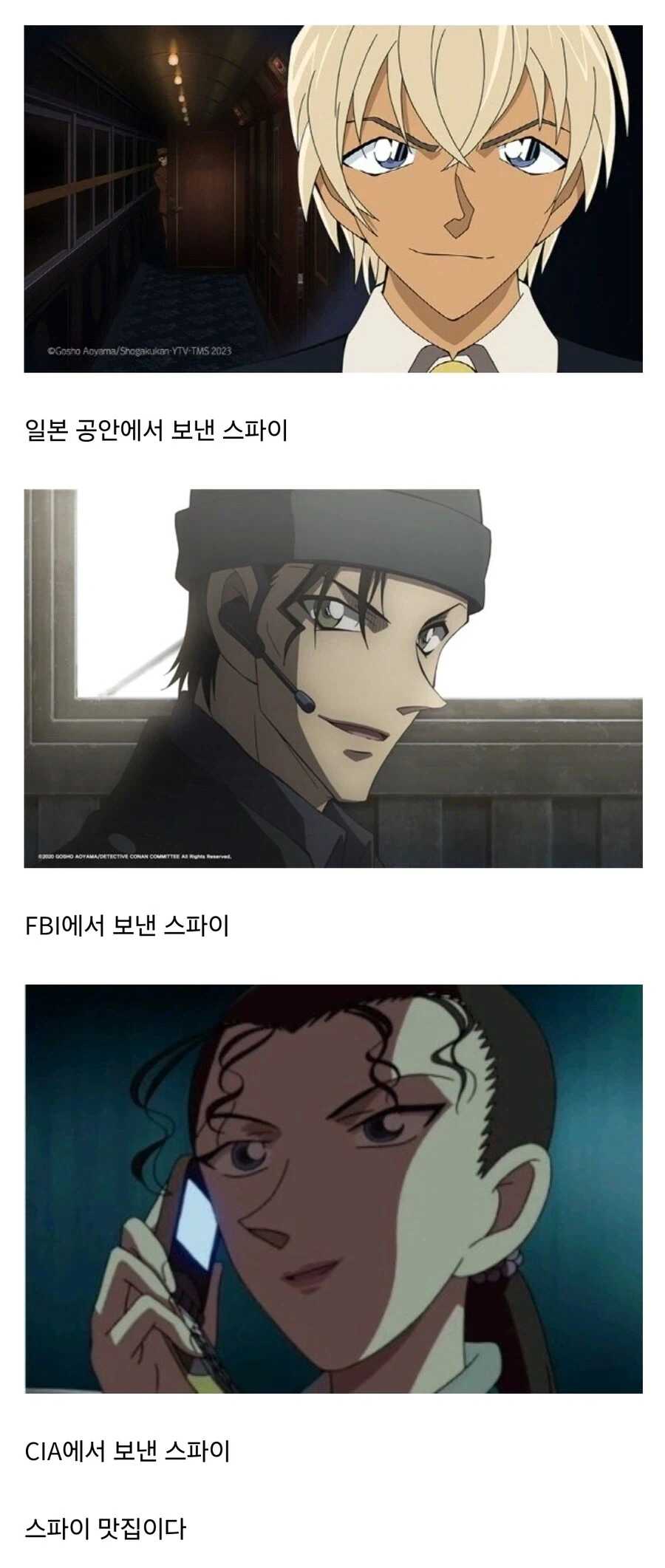 검은조직이 특이한 이유.jpg_1.webp