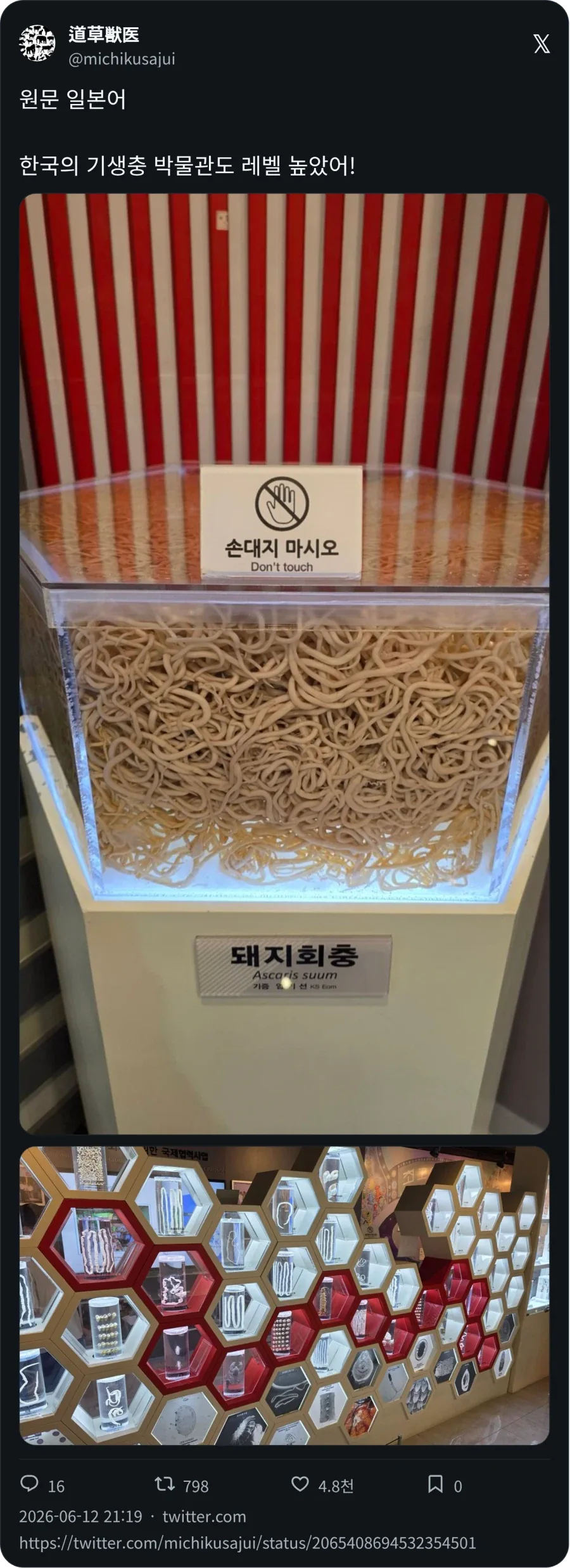 기생충 박물관 후기_1.webp
