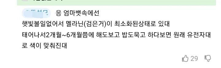 난 검은 태아를 본 적이 없어!!_3.webp