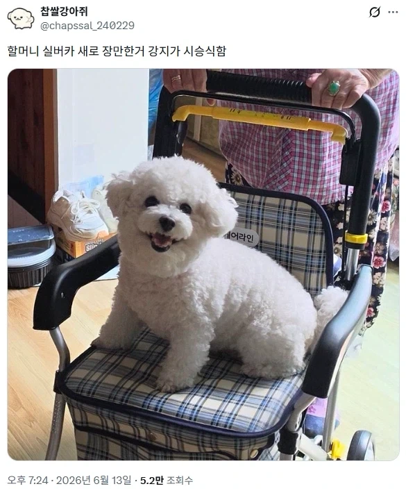주인보다 먼저 시승한 강아지_1.webp