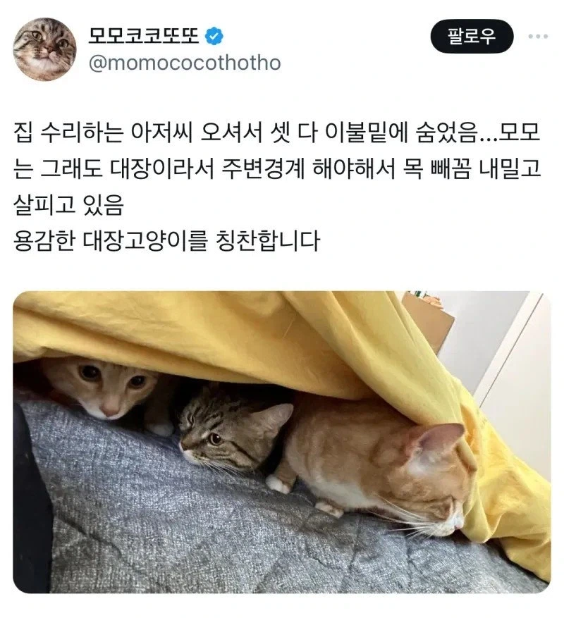 수리하는 아저씨가 왔다 jpg._1.webp