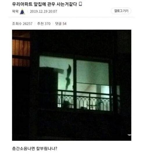 우리 아파트 앞집에 관우 사는 것 같다.jpg_1.webp