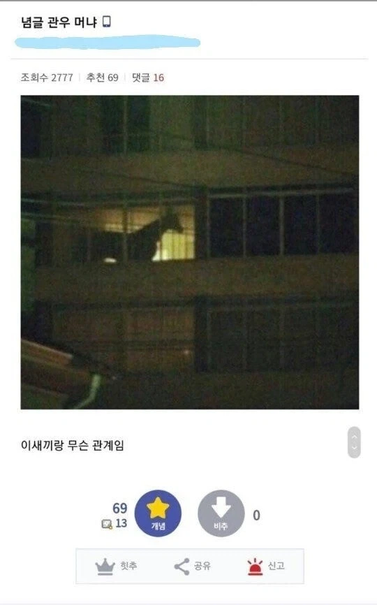 우리 아파트 앞집에 관우 사는 것 같다.jpg_2.webp