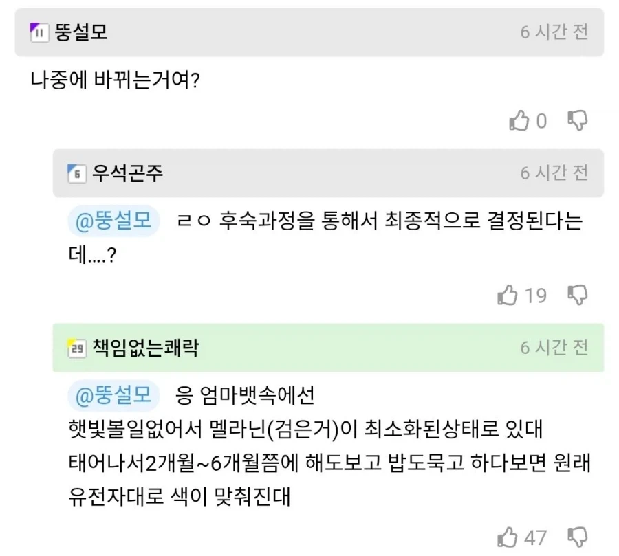 흑인 아기들은 검은 피부로 태어나지 않아요_3.webp