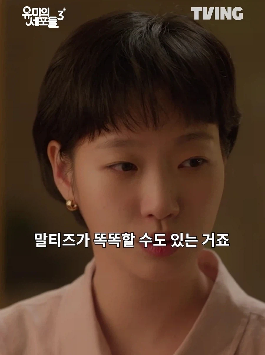 말티즈 견주들 개빡치는 짤.jpg_1.webp