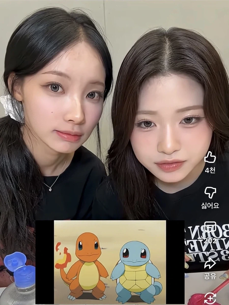 리샌느 거제 파이리 신라 꼬부기_1.webp