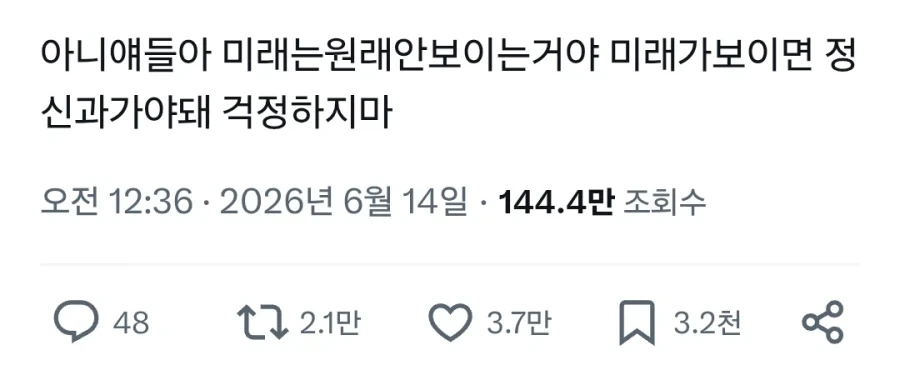미래가 안보이는게 정상이라는 사람_1.webp