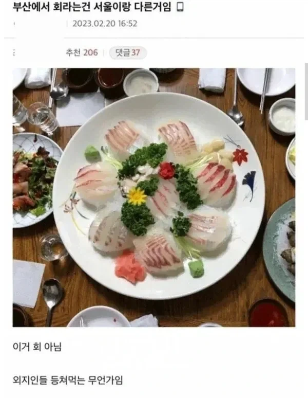 부산 사람들이 말하는 진짜 회.jpg_1.webp