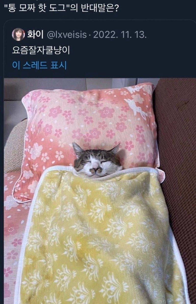 통 모짜 핫도그의 반댓말_1.webp