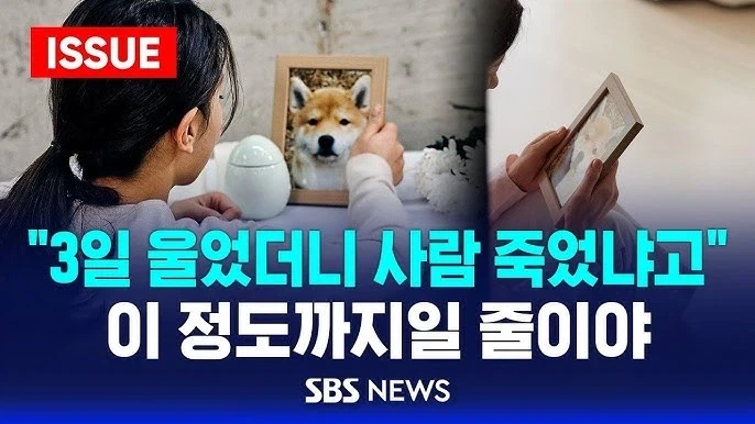 반려동물 안키우는 이유중 비중 큰 사유.jpg_1.webp