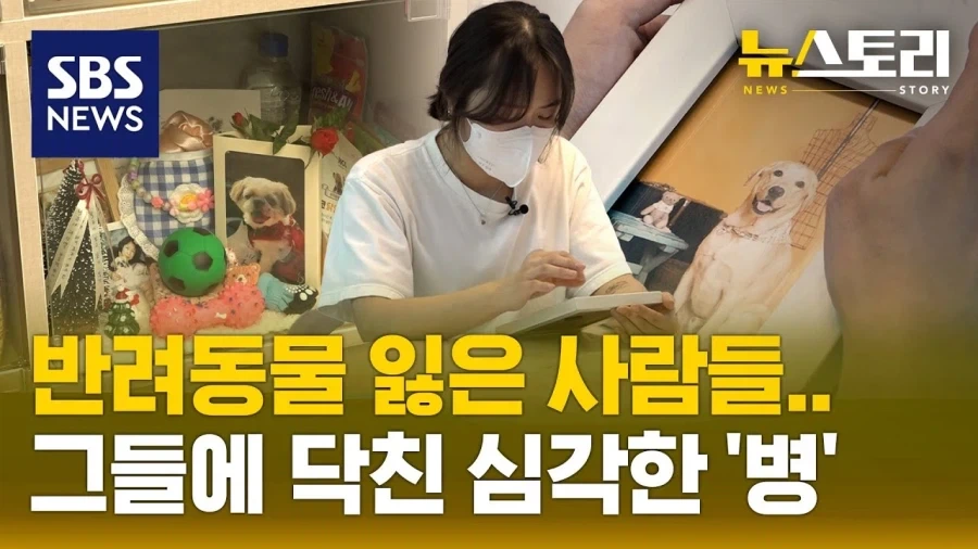 반려동물 안키우는 이유중 비중 큰 사유.jpg_2.webp