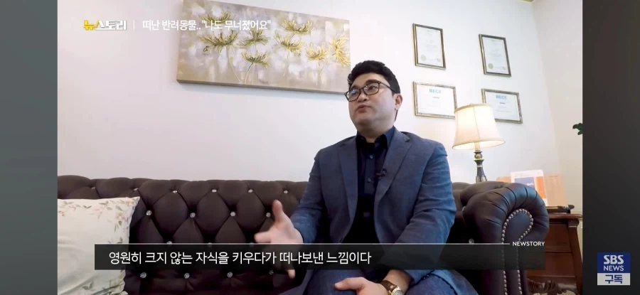 반려동물 안키우는 이유중 비중 큰 사유.jpg_5.webp