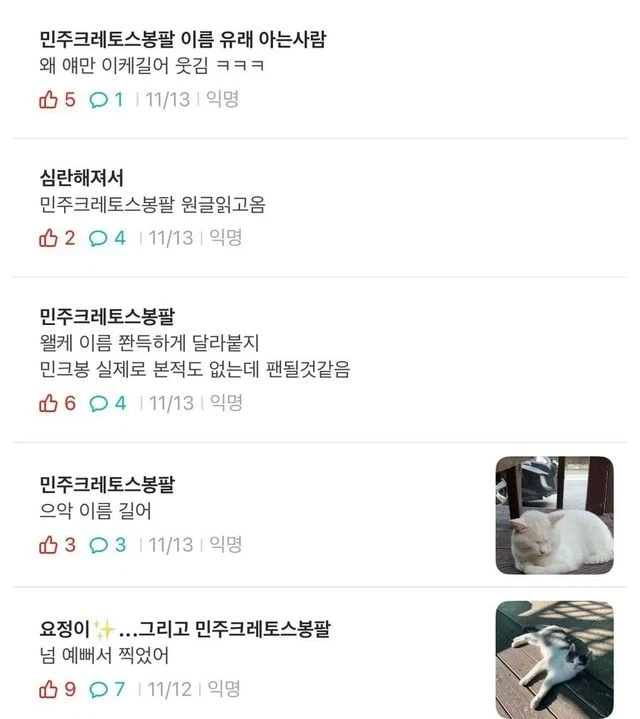 대학교 고양이 이름이 민주크레토스봉팔이 된 이유.eta_4.webp