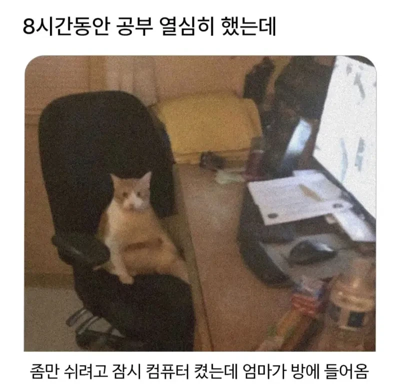 이건..오해라고 !!_1.webp