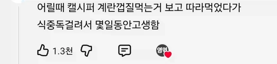 하울 먹방 씬 따라했다가 식중독 걸려서 고생했다는 사람_2.webp